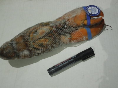 加拿大波士顿龙虾 2014年新货原装进口，大连综研水产直供餐饮批发