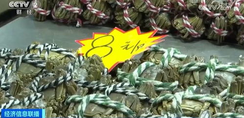 金华正大量上市，价格大跳水！水产品批发需注意这些问题