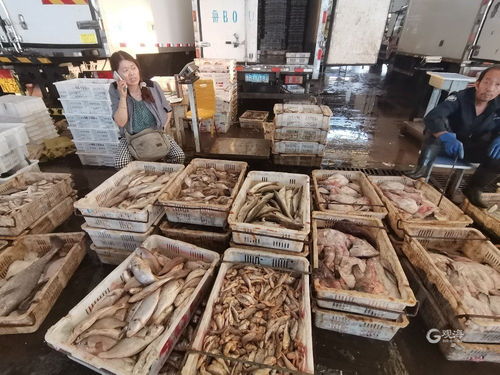 青岛海鲜自由季 梭子蟹价格“跳水”，日用百货销售升温