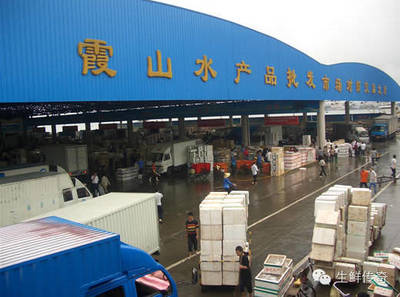 让天下没有难卖的鱼虾！探秘中国主要水产品批发市场