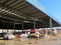 春节前的水产品农贸批发市场 年味、忙碌与希望的汇聚地