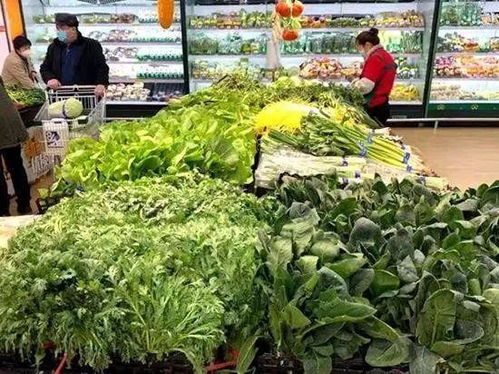 今日青岛商超及批发市场果蔬价格走势及日用品销售观察