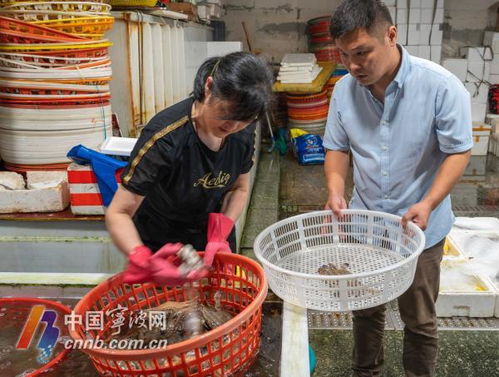 假期热门海鲜价格跳水，消费者成最大赢家