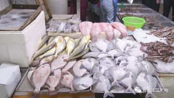 中秋临近 水果海鲜市场供应充足 价格略有上浮