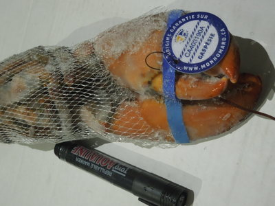 加拿大波士顿龙虾2014年新货 原装进口增重，工厂直供餐饮批发