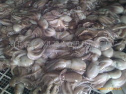 食品与日用品批发市场的现状与发展趋势