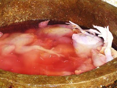 病死鸡变白条 食品安全隐患与市场乱象