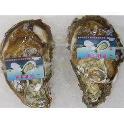 湛江市金属材料贸易与日用百货销售行业的发展与前景